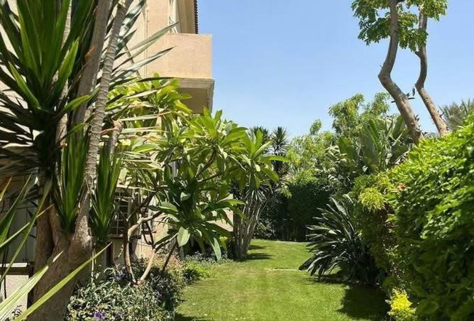 7960594 - صورة العقار 3