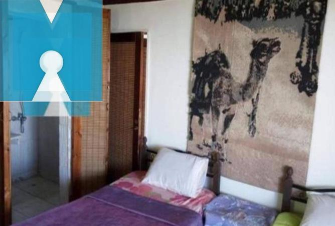 8020750 - Property Image 2