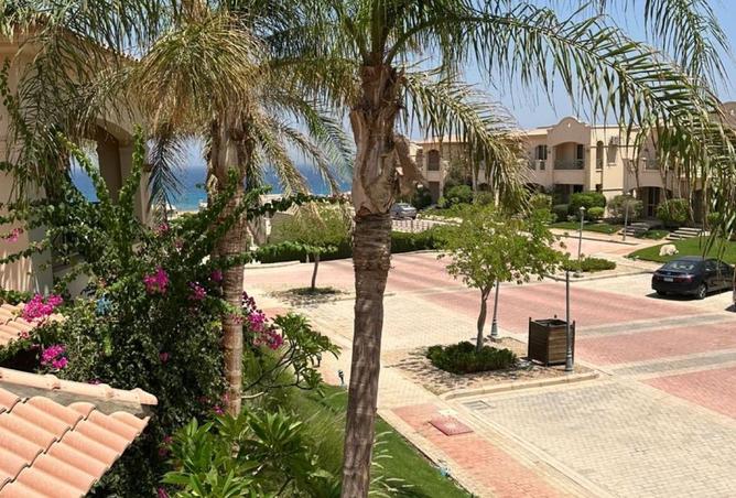 7951923 - صورة العقار 2