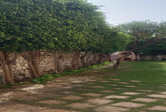 8234143 - صورة العقار 3