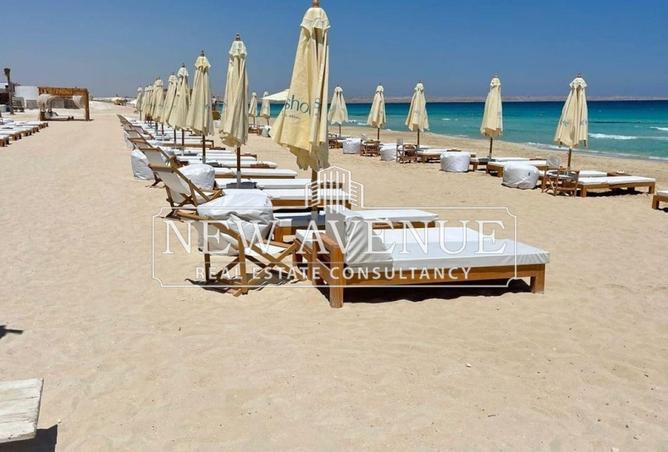 8398223 - Property Image 2