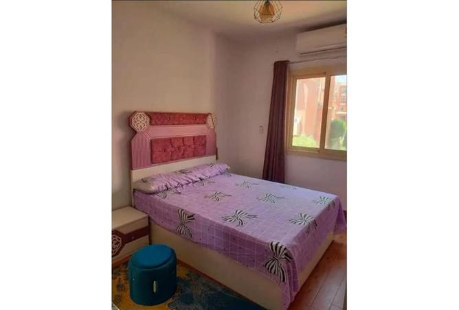 7986603 - Property Image 3