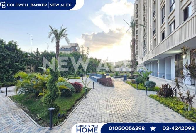 8397557 - صورة العقار 3