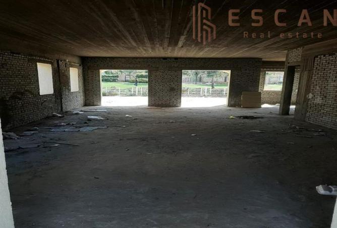 8170798 - الصورة الرئيسية للعقار