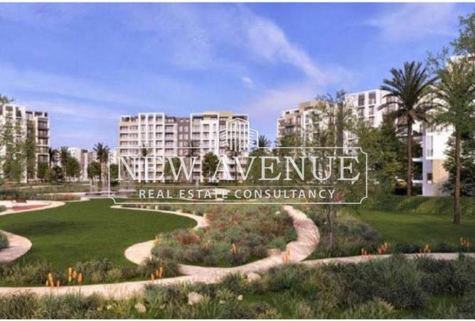 8466745 - Property Image 3