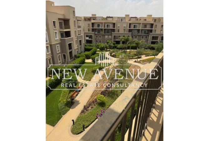 8219542 - Property Image 3