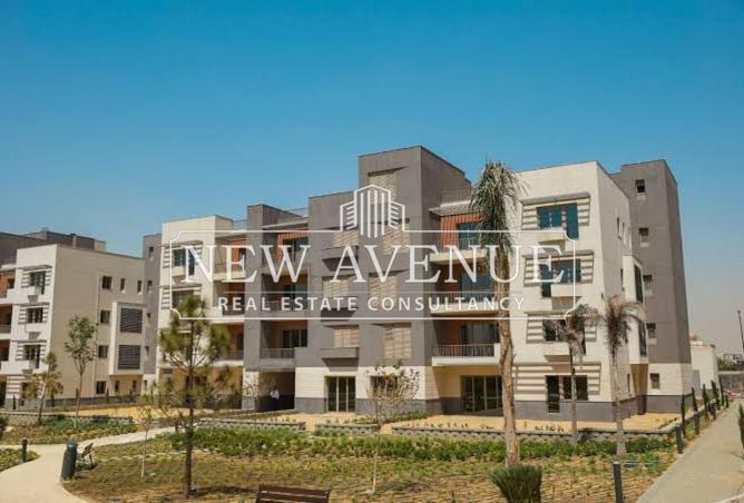 8466276 - Property Image 3