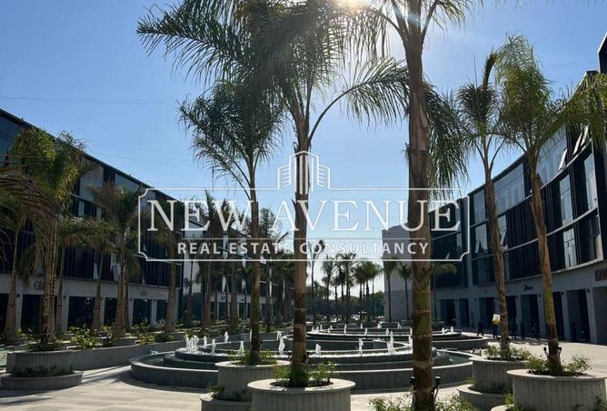 8168089 - صورة العقار 2