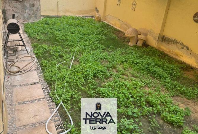 8253375 - Property Image 3