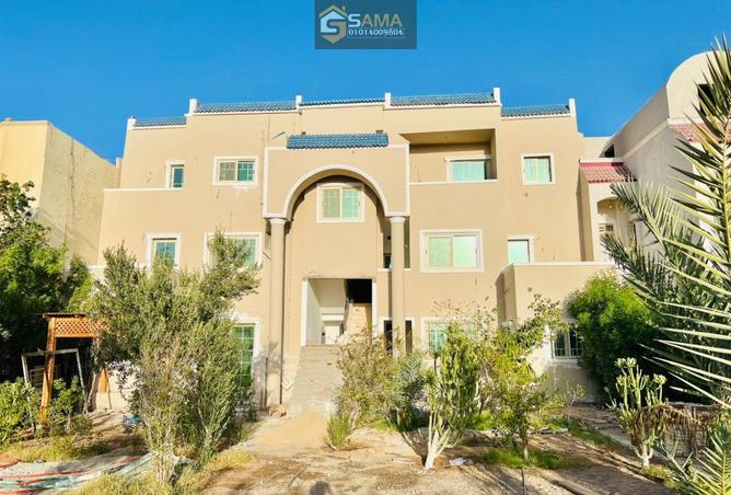 8062761 - صورة العقار 2