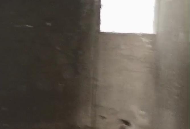 8504650 - صورة العقار 2