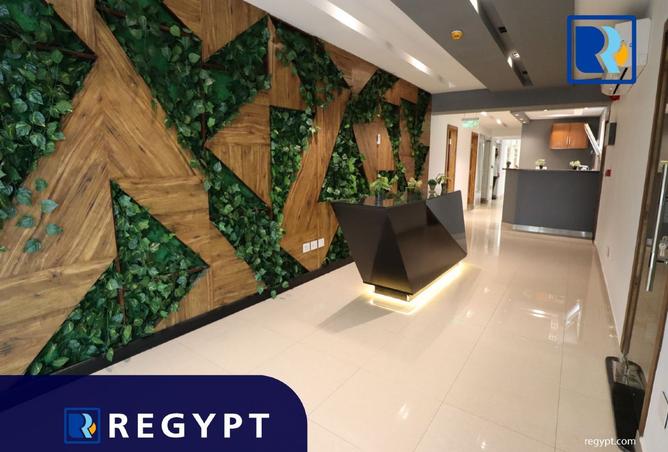 8556911 - Property Image 2