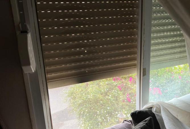 8090388 - صورة العقار 3