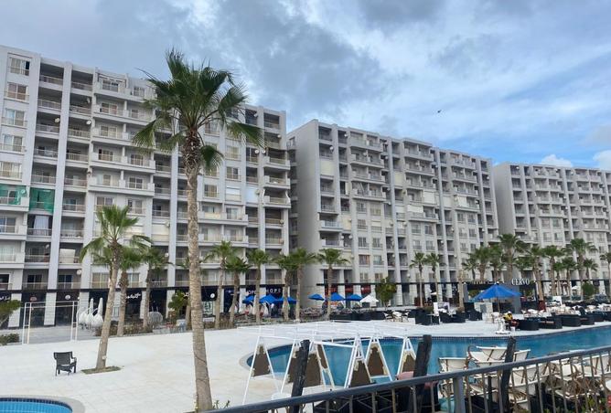 8174105 - Property Image 2