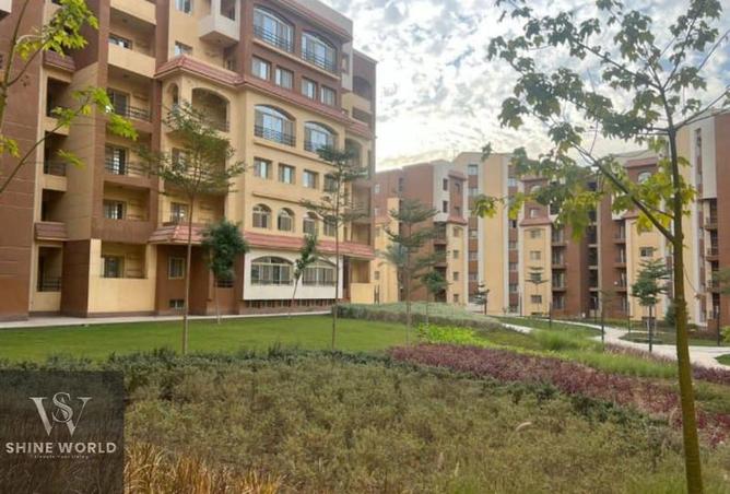7996935 - Property Image 3