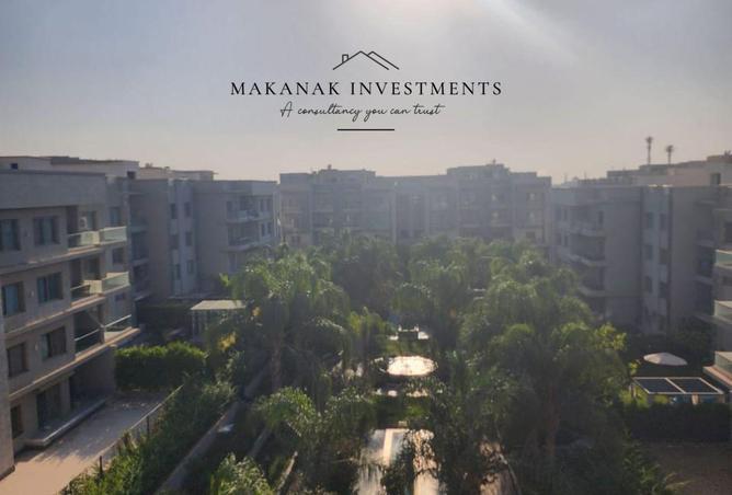 8380397 - Property Image 2