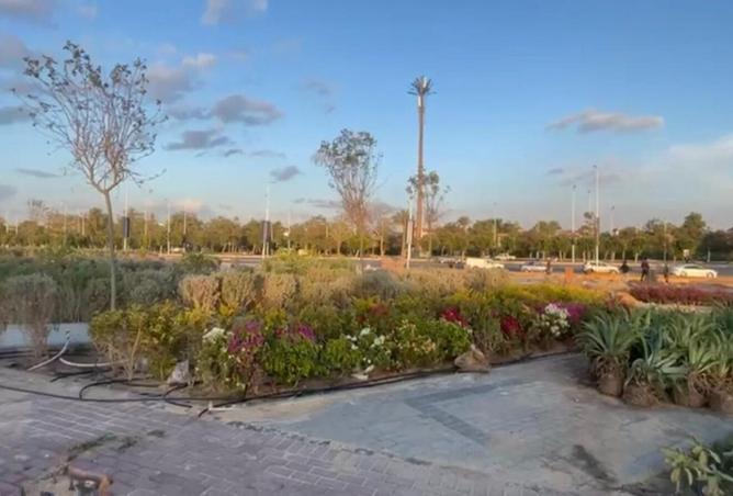 8395587 - Property Image 2