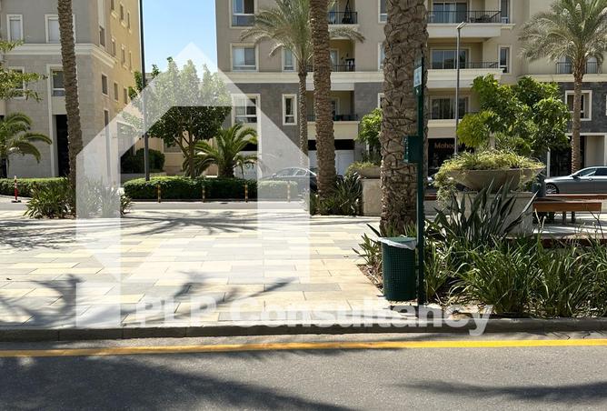 8480651 - Property Image 3