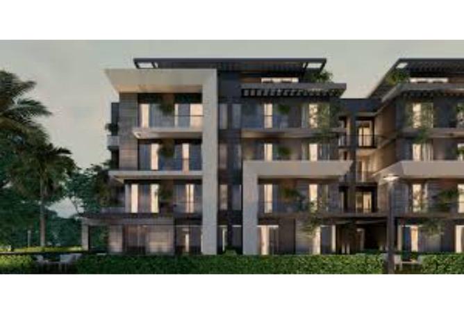7983274 - Property Image 3