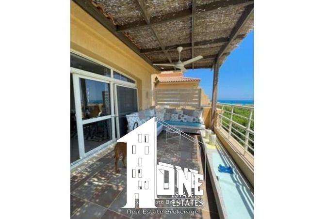 8341648 - Property Image 3