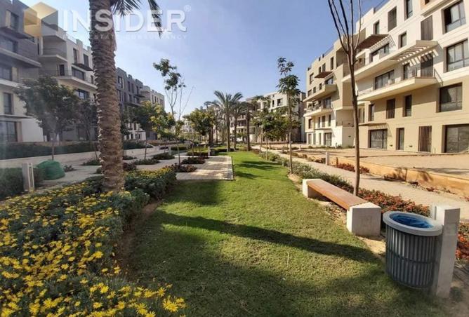 8137979 - صورة العقار 3