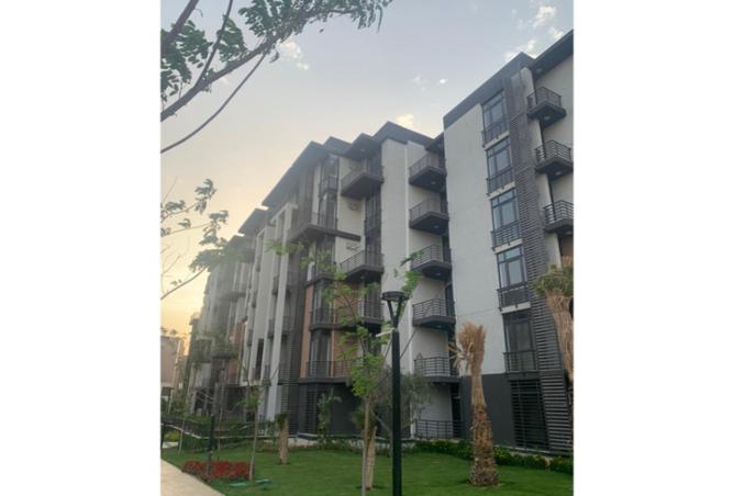 7928509 - Property Image 3