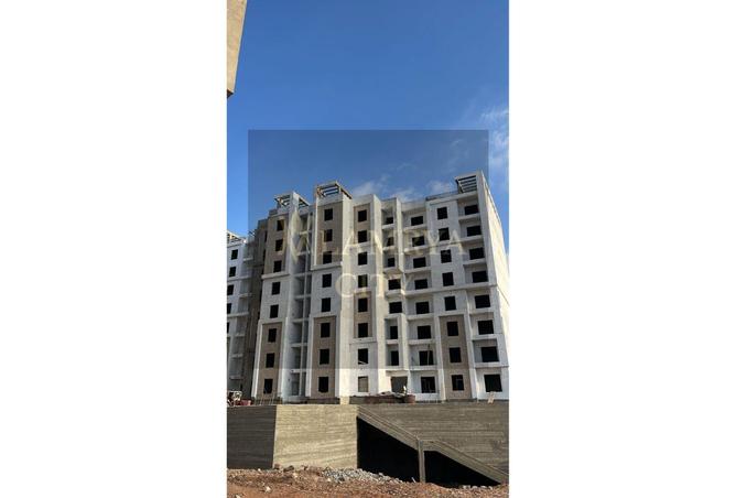 8351391 - Property Image 3