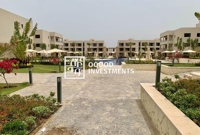 8062466 - Property Image 3