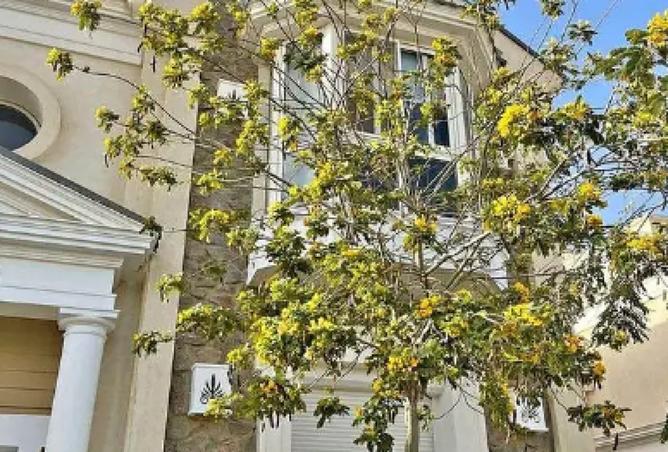 8157203 - الصورة الرئيسية للعقار