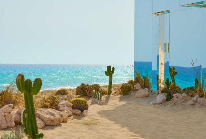 8472638 - Property Image 3