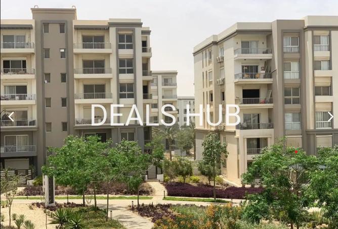 8086463 - Property Image 3