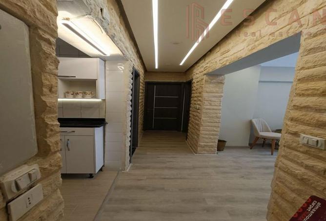 8146356 - Property Image 3