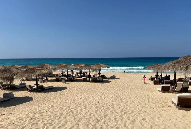 7896771 - صورة العقار 3