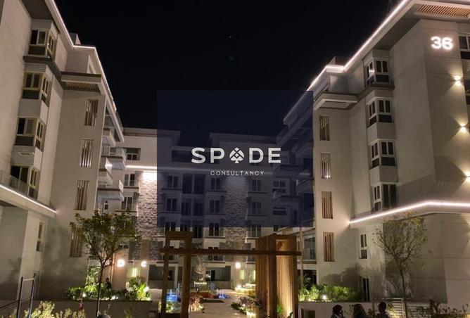 8477165 - Property Image 3