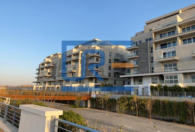 7973789 - Property Image 2