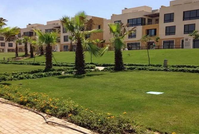 8126183 - Property Image 3