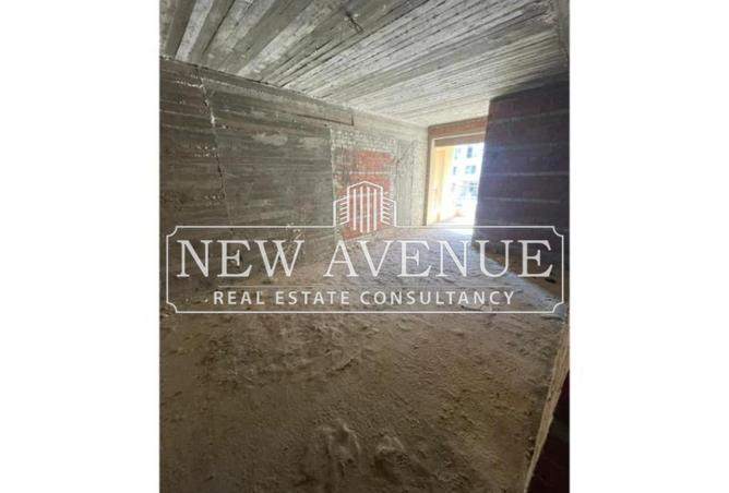 8052616 - Property Image 3