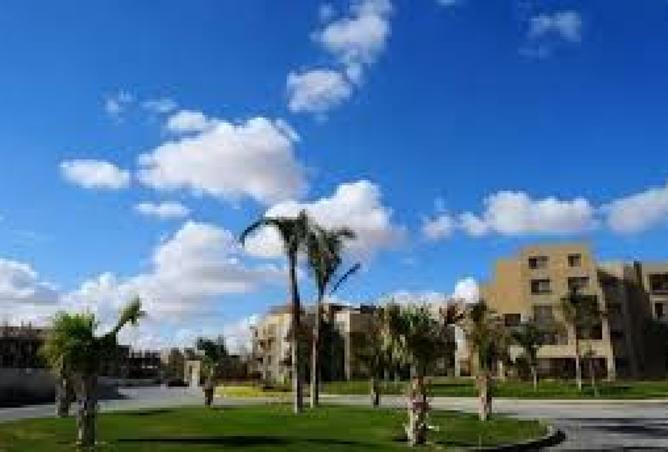 8173144 - الصورة الرئيسية للعقار