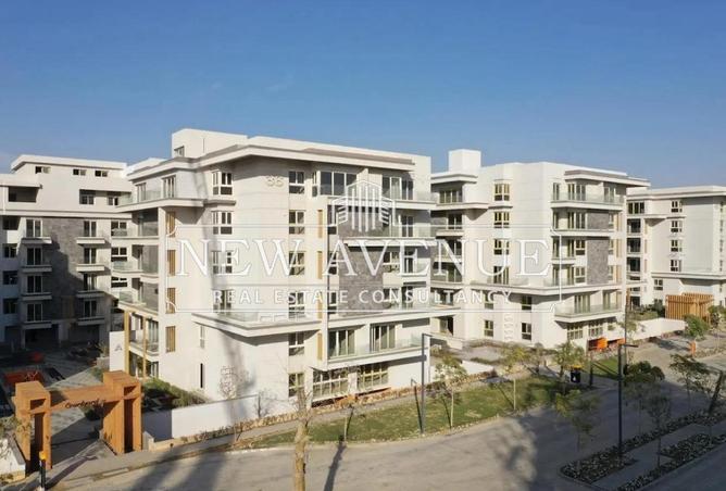 8228030 - صورة العقار 2