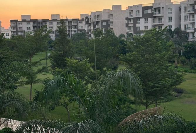 7922292 - صورة العقار 3
