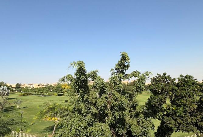 8195187 - Property Image 2