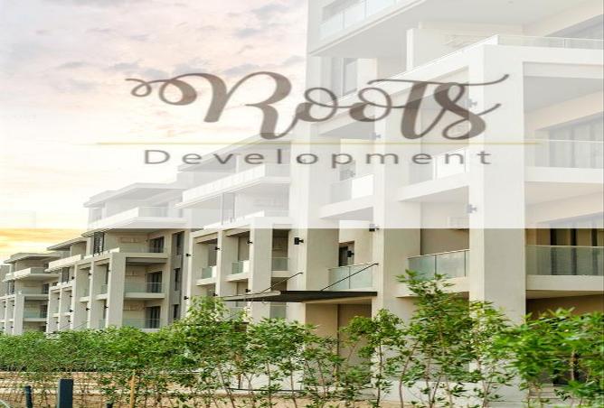7978040 - Property Image 3