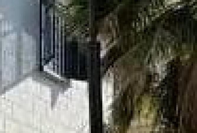 8443236 - صورة العقار 2