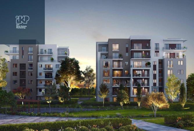 8074494 - Property Image 3