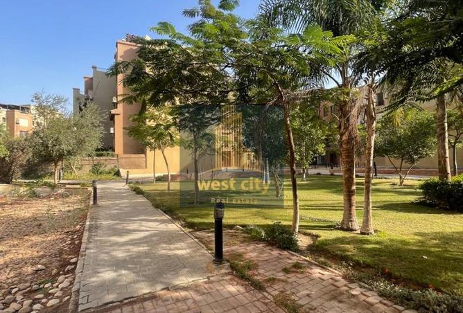 8328256 - صورة العقار 3