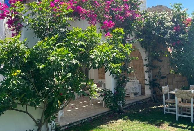 8219352 - صورة العقار 3