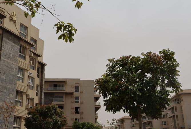 8214401 - صورة العقار 3