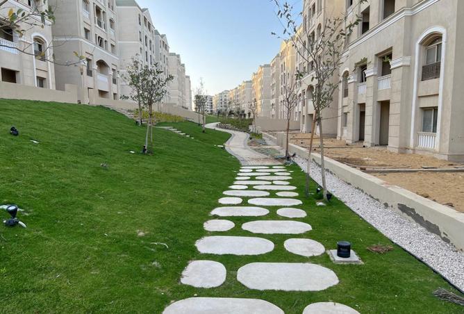 8035087 - Property Image 3