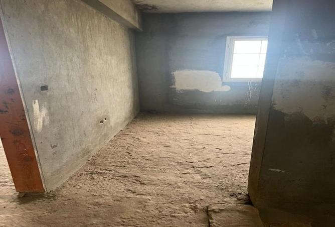 7703808 - صورة العقار 3