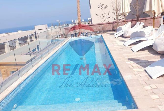 8437494 - Property Image 2